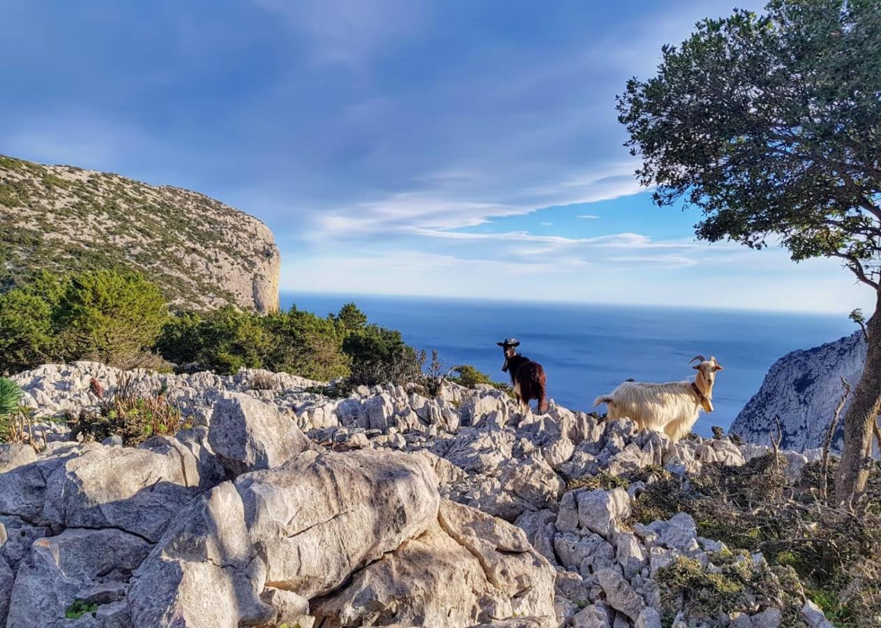 Appartamento Tra Mare E Montagna Baunei Exterior foto
